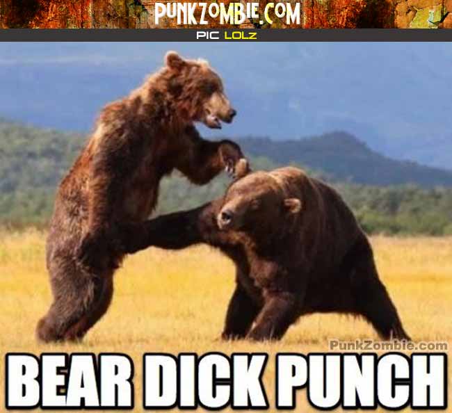 bear dick punch
