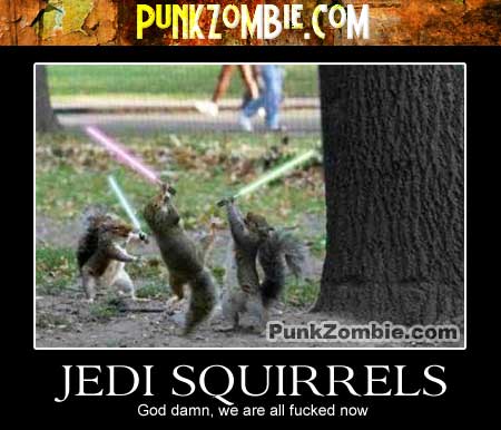 Jedi Squirrels