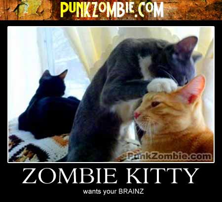 zombie kitty